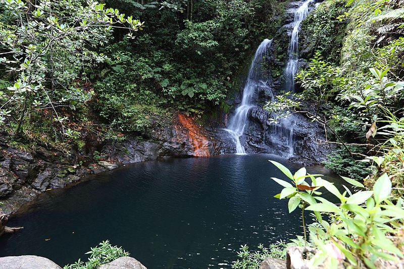 File:Cockscomb Basin Wildlife Sanctuary 21.JPG