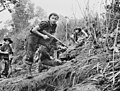 Image 79Commandos from the 2/3rd Independent Company in New Guinea during July 1943 (from Military history of Australia during World War II)