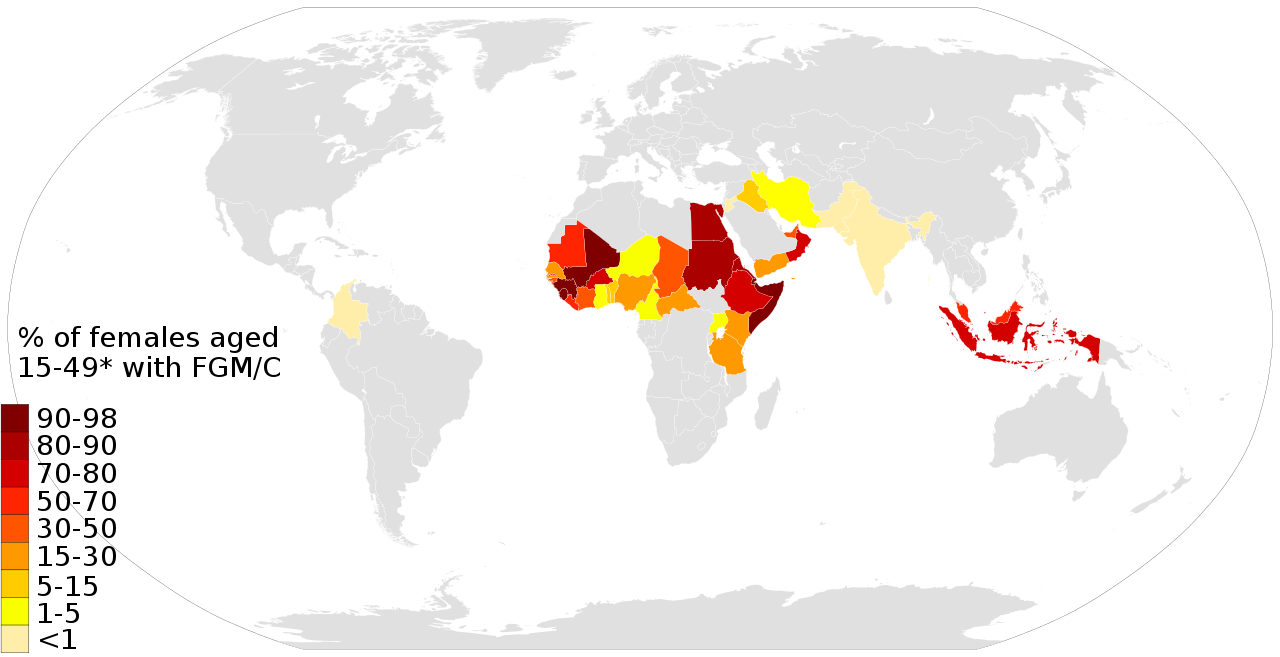 1280px-Composite_FGM_world_map.svg.png