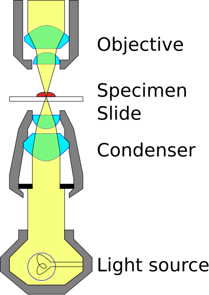 File:Condenser diagram.svg