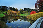 Lago de las plantaciones de Cornell.jpg