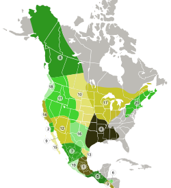 Coyote subspecies distribution map.svg
