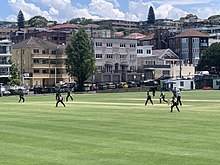 Randwick-Petersham cricket team hosting a match at Coogee Oval