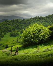 Natur von Dashkesen