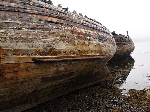 Derelict fishing hulks, Isle of Mull.