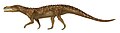 Decuriasuchus