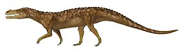 Decuriasuchus