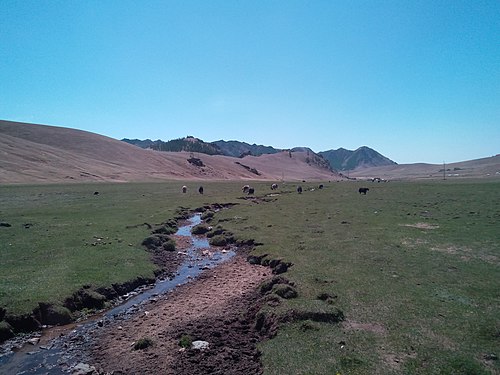 Ditches in Mongolia