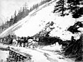 Edward S Orr Stage Line wagon on the Chitina-Fairbanks road, Alaska, 1906 (AL+CA 4680).jpg