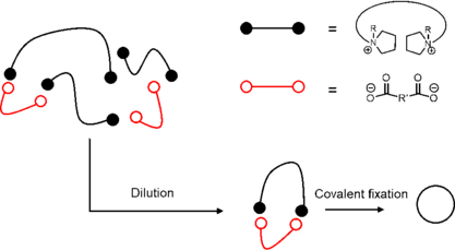 Electrostatic self-assembly and covalent fixation to form a cyclic polymer. Cations and anions self-assemble upon dilution and react with each other upon heat. Electrostatic self-assembly and covalent fixation.png