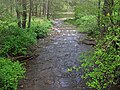 Elk Creek (near Durbin, West Virginia, USA) (26628937844).jpg
