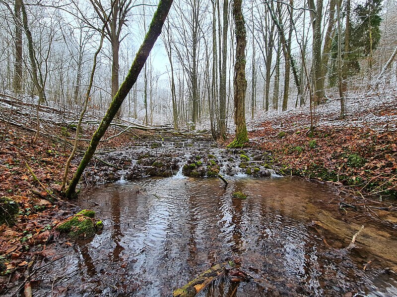 File:Ellerbachschlucht 2021 01.jpg