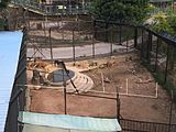 A lioness enclosure in Shenzhen Safari Park in January 2016