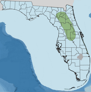 <span class="mw-page-title-main">Orange Island (Florida)</span>