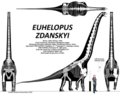 Euhelopus zdanskyi