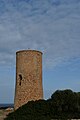 * Nomination: Torre del Serral dels Falcons near Porto Cristo, Mallorca --Kritzolina 14:40, 2 March 2024 (UTC) * Review plenty of space on top --Nikride 19:34, 2 March 2024 (UTC) I intentionally included the cloudscape, I have other pictures that show less sky, but I like this best. --Kritzolina 07:05, 3 March 2024 (UTC)