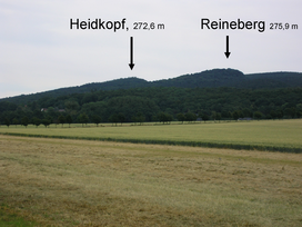 Falk Oberdorf Heidkopf und Reineberg.png