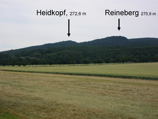 Reineberg