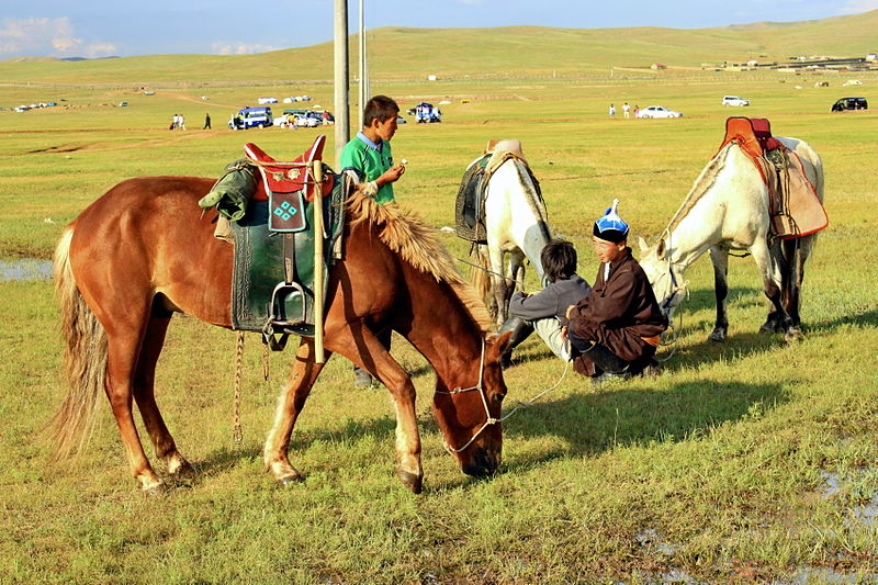 File:Festiwal Naadam na stepie na obrzeżach Ułan Bator 32.JPG