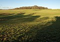 Field, Fonthill estate - geograph.org.uk - 2234895.jpg