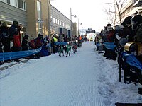 Start fan slidehûn wedstriid Finnmarksloepet.