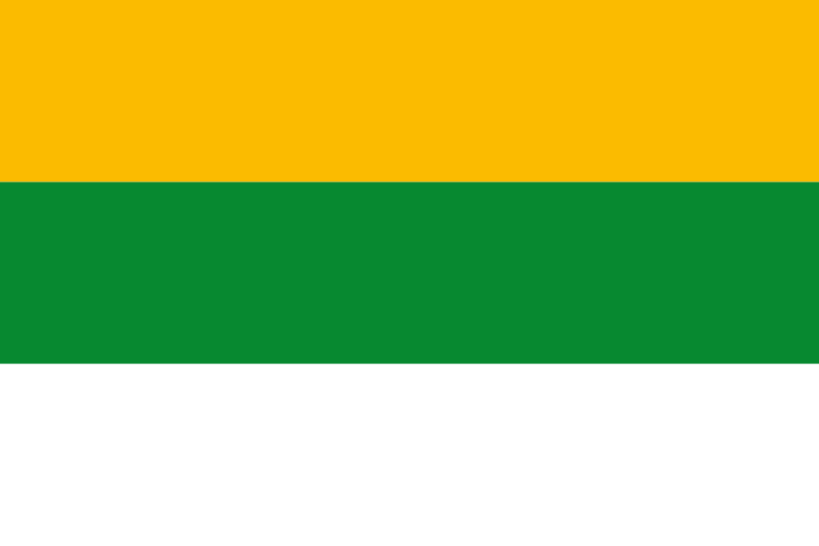 File:Flag of Polonuevo (Atlántico).svg