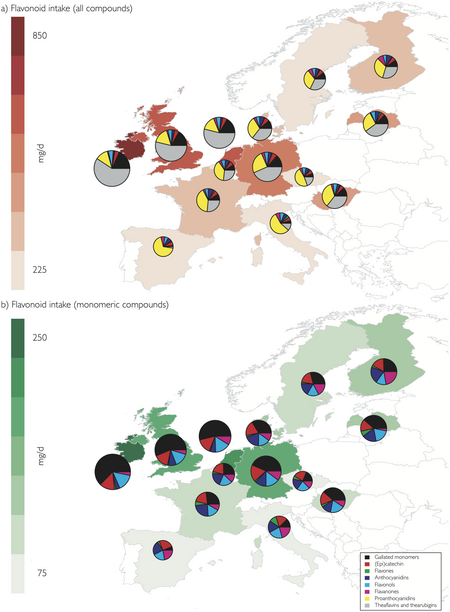 Tập_tin:Flavonoid_intake_of_adults_(18_to_64_years)_in_the_European_Union.png