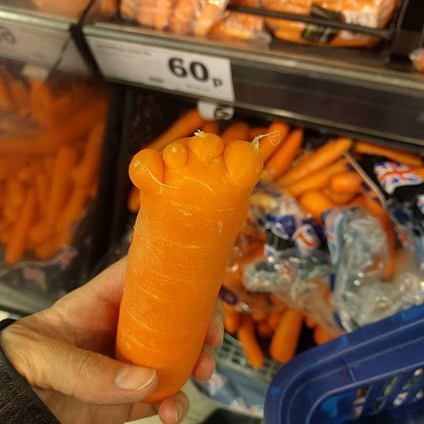 File:Foot carrot.jpg