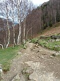 Thumbnail for File:Footpath southeast side of Ullswater - geograph.org.uk - 2946165.jpg