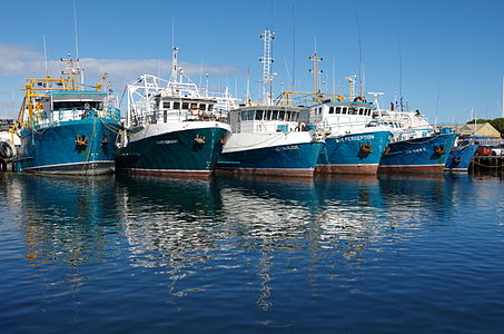 Fishing Boats in Fremantle fishing boat harbour