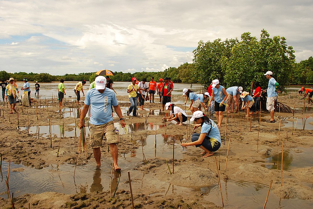 Climate Adaptation-avatar