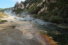 Frying Pan Lake overflow stream Frying Pan Lake overflow stream (Waimangu Volcanic Valley).jpg