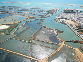 Ria Formosa Lagoon in the Algarve, Portugal