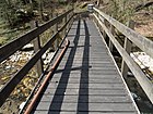 Pedestrian footbridge over the Birs, Choindez JU 20190402-jag9889.jpg