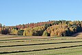 * Nomination Góra Sieradowska nature reserve - view from fields near Sieradowice village --Jakubhal 07:14, 14 November 2021 (UTC) * Promotion  Support Good quality. --Ermell 08:08, 14 November 2021 (UTC)