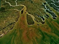 Delta fluvial (riu Ganges)