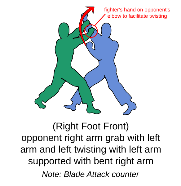 File:Generic fighting style GrabTechnique 1.svg