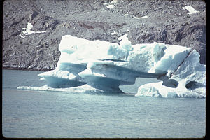 Glacier Bay National Park and Preserve GLBA4428.jpg