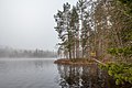 * Nomination Lake Häste-Dammsjön, Sweden. --Vivo 16:12, 19 March 2021 (UTC) * Promotion  Support Great atmosphere --Palauenc05 17:54, 19 March 2021 (UTC)