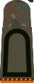 Stabsunteroffizier der Reserve (Heeres­uniformträger Feldjägertruppe)