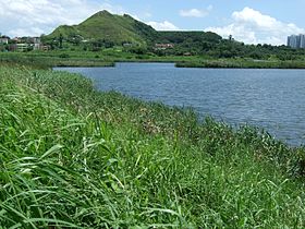 Vue du mont Kaishan à partir d'un étang de la zone de Wang Chau.