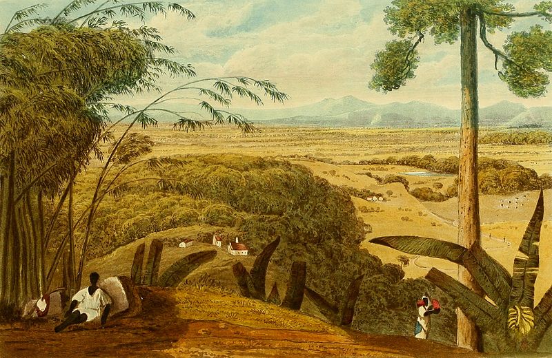 File:Hakewill, A Picturesque Tour of the Island of Jamaica, Plate 14.jpg