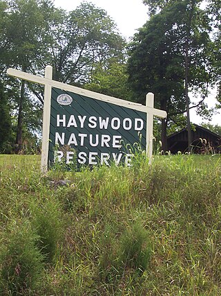 <span class="mw-page-title-main">Hayswood Nature Reserve</span>