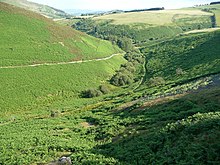 Valley in Ceiriog Ucha. Hillside paths in the valley - geograph.org.uk - 2508605.jpg