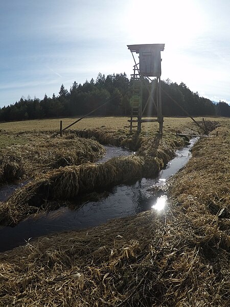 File:Holmbach und Auer Bach.jpg