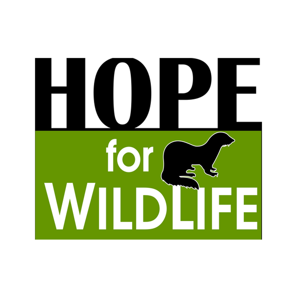 A Wild Life: Center for Wildlife Rescue, Rehabilitation, and Release