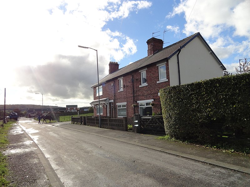 File:Houses on Green Lane - geograph.org.uk - 3841956.jpg