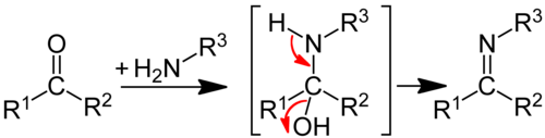 Darstellung eines Imins aus einem Aldehyd oder Keton