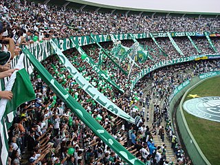 <span class="mw-page-title-main">Torcida organizada</span> Organized supporters groups of football teams in Brazil