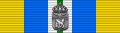 Ribbon bar of the commemorative medal